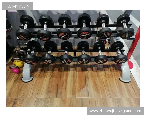 高效训练必备小型健身器材合集高清图片展示